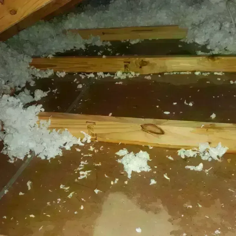 Attic Water Damage in Elkhart County, IN